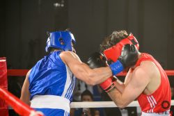 Executive Fight Night 2026 - Metropolis Japan