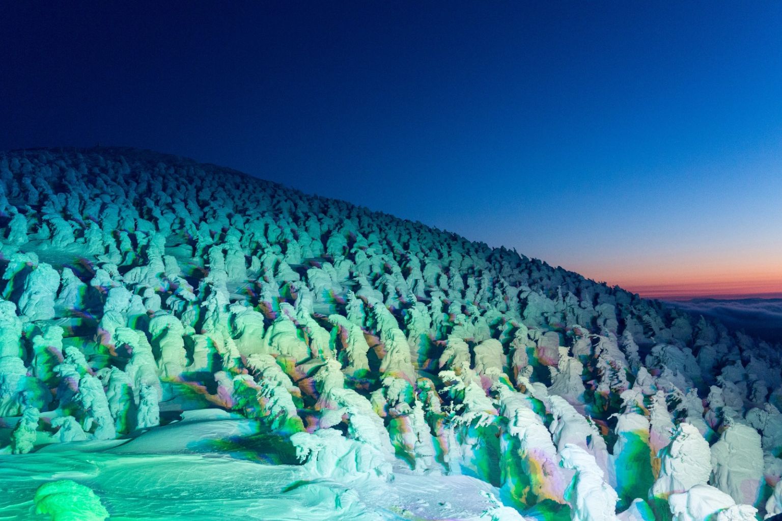 wielding-afro-cabbages-and-snow-monsters-travel-metropolis-japan