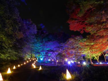 Things to Do in Tokyo in October