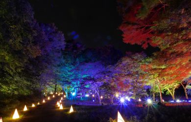 Things to Do in Tokyo in October