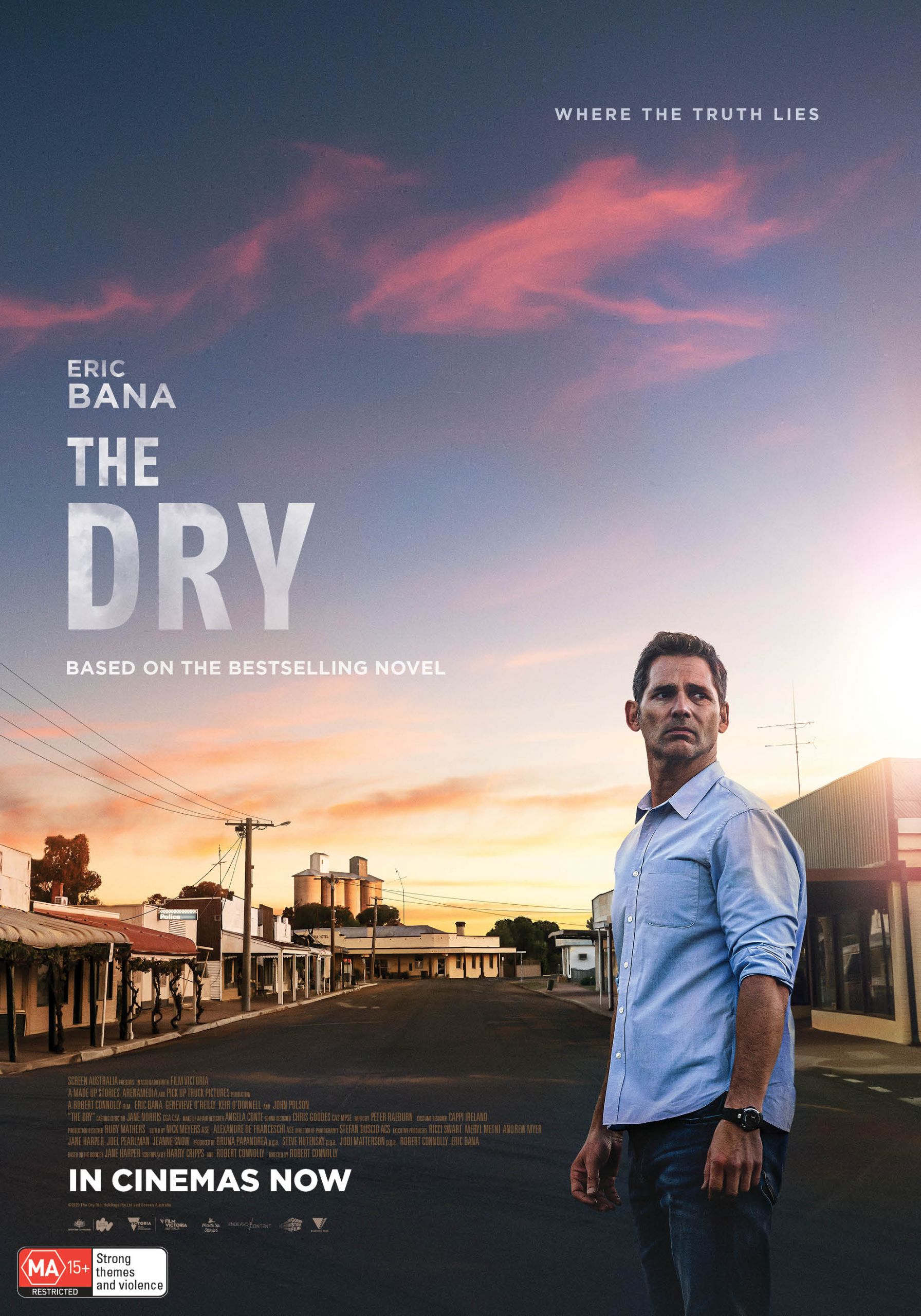 movie review the dry