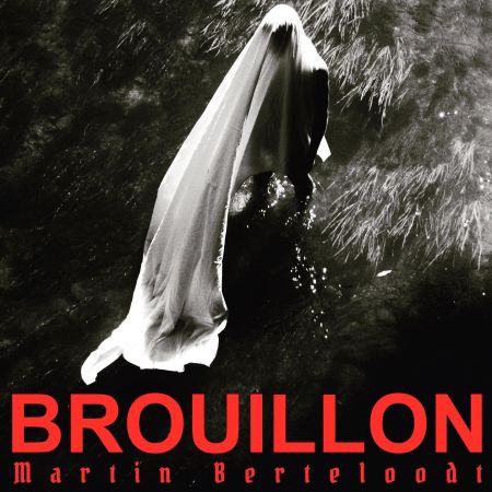 Martin Berteloodt: BROUILLON