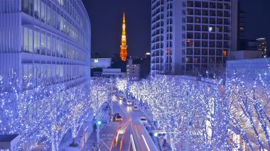 2023 -2024 Tokyo Winter Illumination Guide