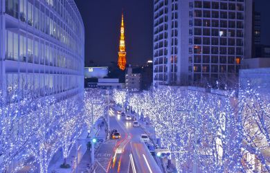 2023 -2024 Tokyo Winter Illumination Guide