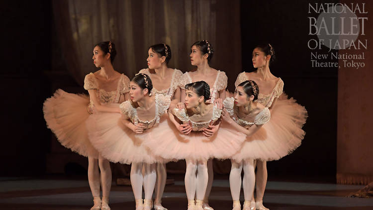 Coppélia Ballet by Roland Petit