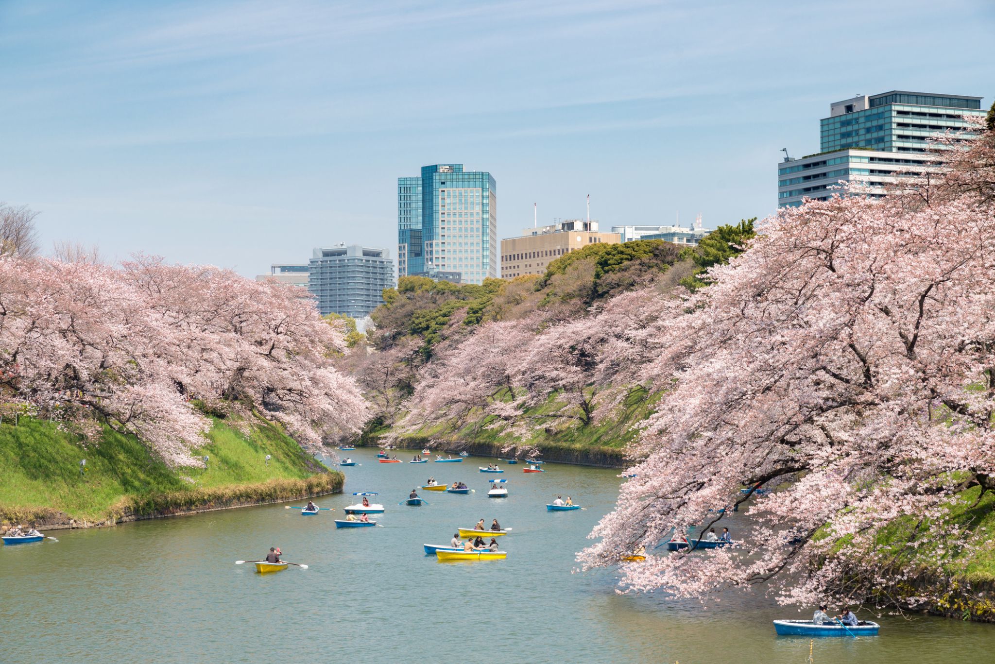 Metropolis Japan