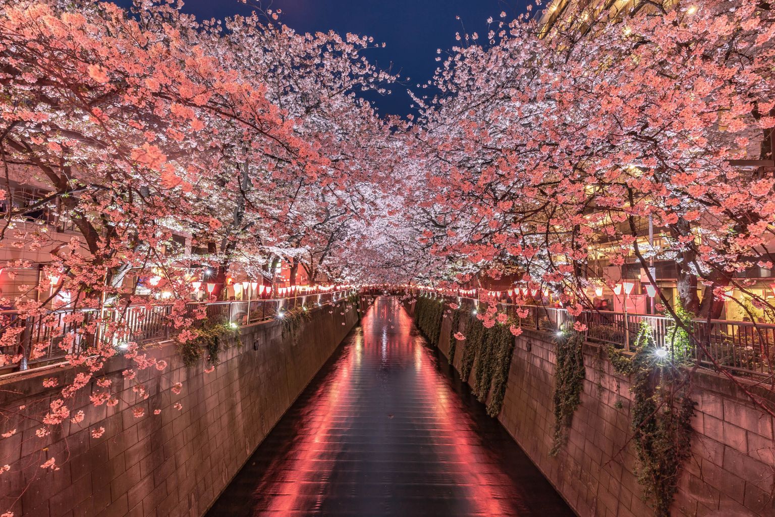 Metropolis Japan