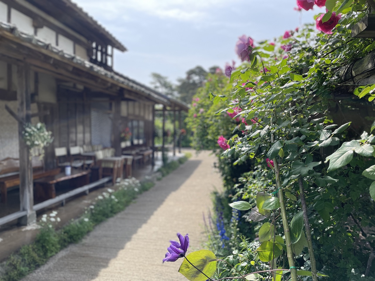 Ninomiya Rose & Japanese Garden