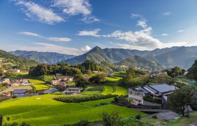 Japan’s Akiya Houses