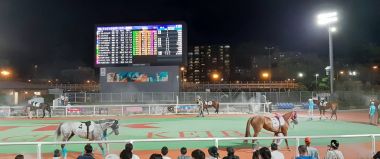 Tokyo City Keiba Presents Ōi Race Course