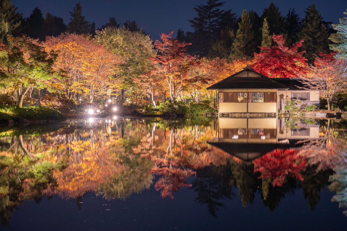 Metropolis Japan