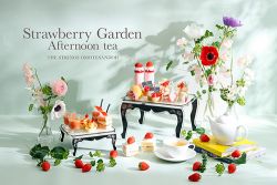 Strawberry Garden Afternoon Tea