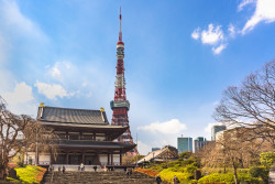 Tokyo Cycling Route: “Tokyo Tower Tour”