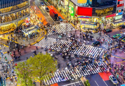 Tokyo 101: An Expat’s Guide to Living in Japan