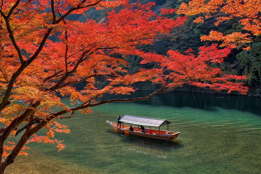 Tokyo Autumn Foliage 2024 Guide 