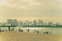 Digital Detox in Tokyo - Metropolis Japan