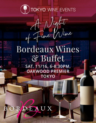 🇫🇷 Bordeaux🍷 Wine and Buffet Party