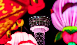 Things To Do in February 2026