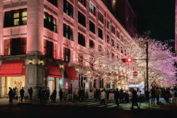 SAKURA FES NIHONBASHI 2026