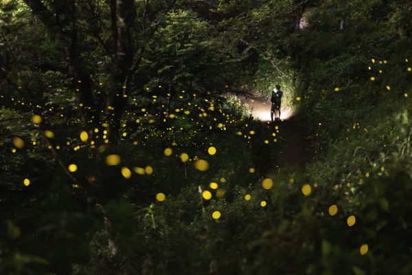 Things to Do in Tokyo in June - Metropolis Japan
