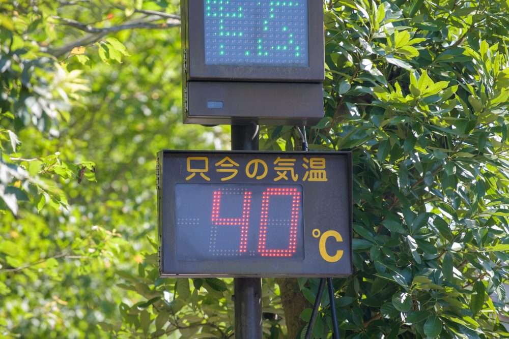 Surviving Summer in Japan - Metropolis Japan