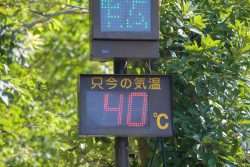 Surviving Summer in Japan - Metropolis Japan
