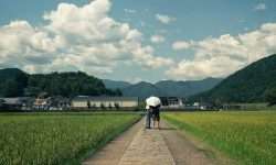 Surviving Summer in Japan - Metropolis Japan