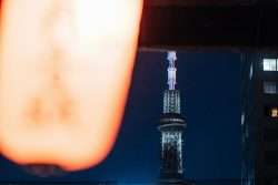 Things to Do in Tokyo in July 2025 - Metropolis Japan