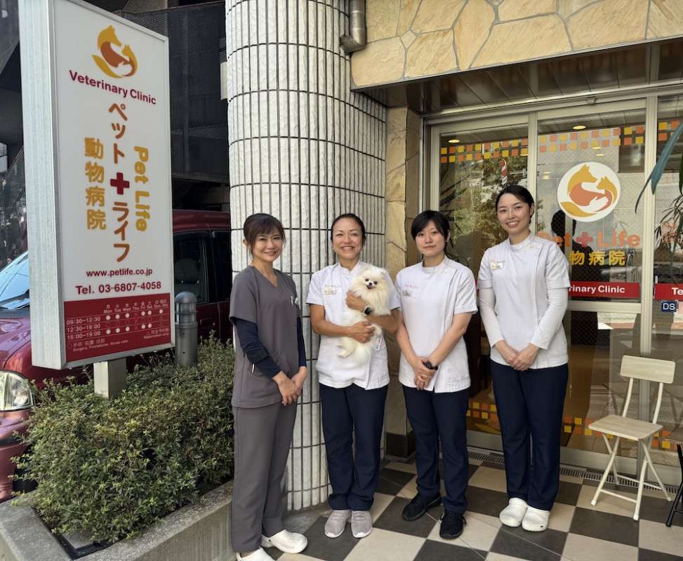 English-Speaking Vet in Tokyo: PetLife