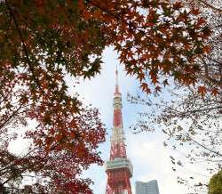 Things To Do in Tokyo in October 2025