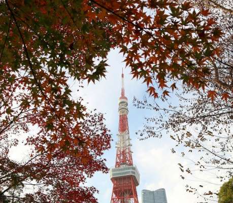 Things To Do in Tokyo in October 2025