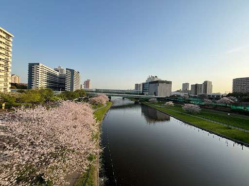 Tokyo Neighborhood Guide: Ojima, A Land of Rivers and Old-School Commerce