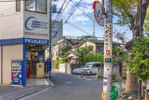 Tokyo Neighborhood Guide: Mukojima