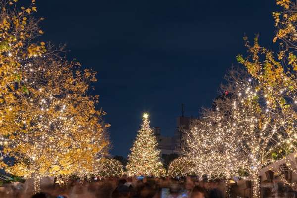 Things to Do in Tokyo in December 2025