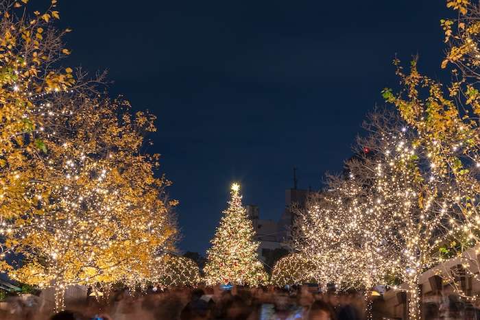 Things to Do in Tokyo in December 2025