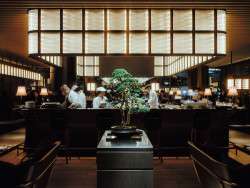 Janu Tokyo x TRADMAN’S BONSAI