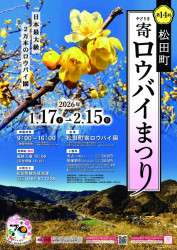Matsuda Wintersweet Festival