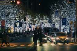 Tokyo Illumination Guide for Winter 2025 – 2026 - Metropolis Japan