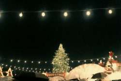 Christmas Markets in Tokyo 2025 - Metropolis Japan