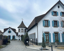 Best Date Spots in Tokyo 2026