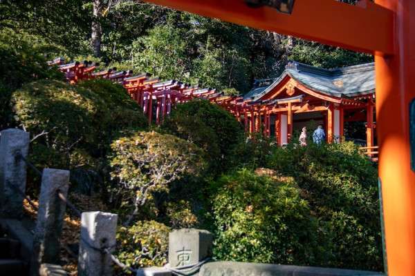 Tokyo Neighborhood Guide: Nezu