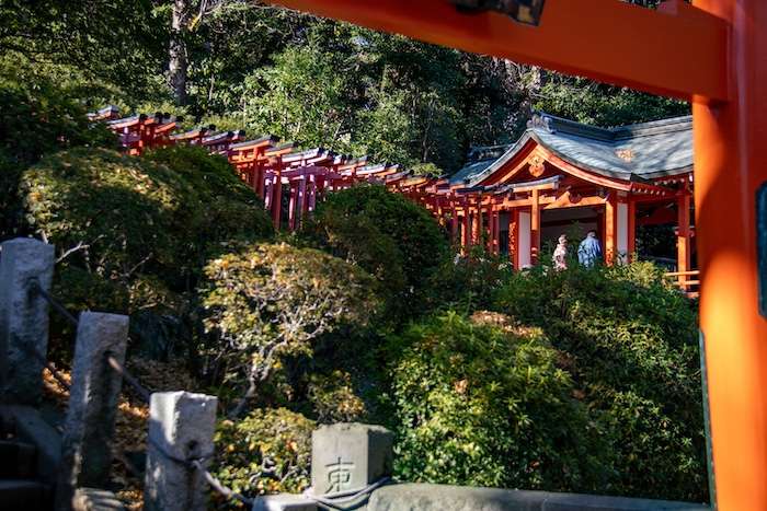 Tokyo Neighborhood Guide: Nezu