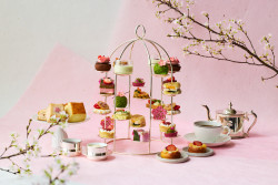 Sakura Afternoon Tea at The Peninsula Tokyo