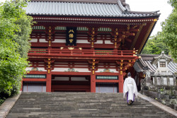 Spring Performances in Tokyo