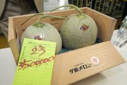 Japanese Luxury Fruits and Where to Find Them in Tokyo