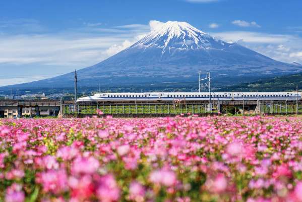 The Bullet Train, A Loaded Story - Metropolis Japan