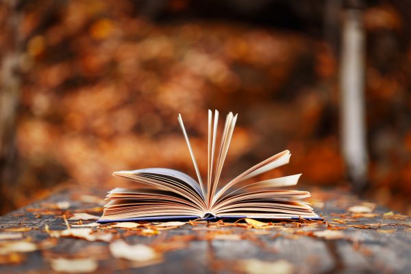 Your Japanese Autumn Reading List 2026 - Metropolis Japan