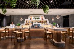 Oxomoco Opens in Roppongi - Metropolis Japan