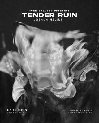 Joshua Helius – Tender Ruin - Metropolis Japan