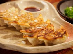 Tokyo Day Trip: Utsunomiya “Gyoza Town” - Metropolis Japan